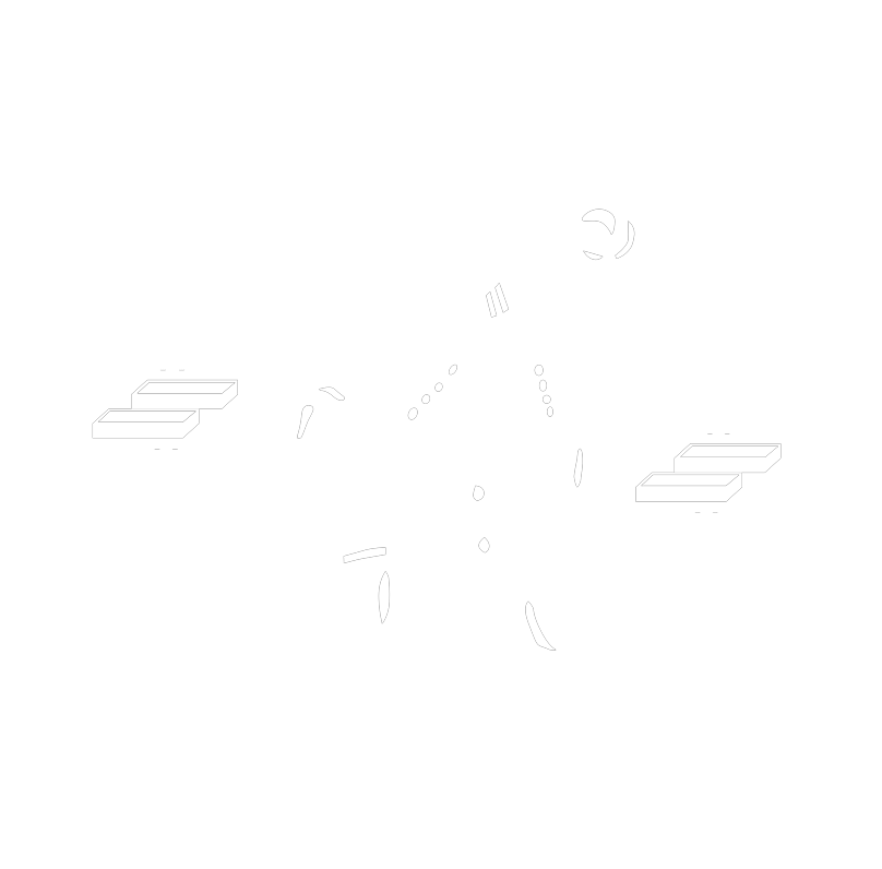 The Steve King Band Logo